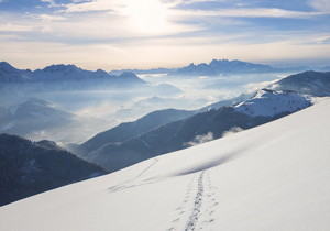 香港 IFT国际形体导师协会：助力女性职业发展的璀璨灯塔