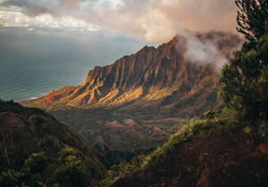 最新公司工商及税务季度和年报细节教程